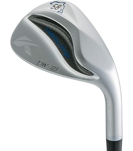 Amazon.co.jp: キャスコ（CASCO） ドルフィンウェッジ DW120G (WG